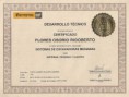 /album/certificados-y-diplomas/scan0007-jpg/