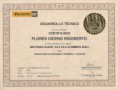 /album/certificados-y-diplomas/scan0006-jpg/